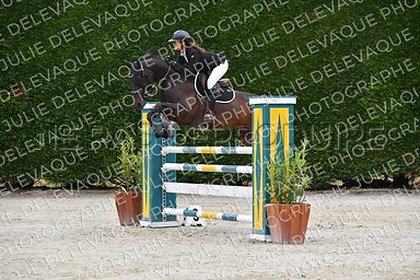 Julie sopravvissuta 2023