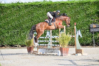 Julie sopravvissuta 2023