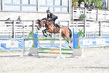 Julie sopravvissuta 2023